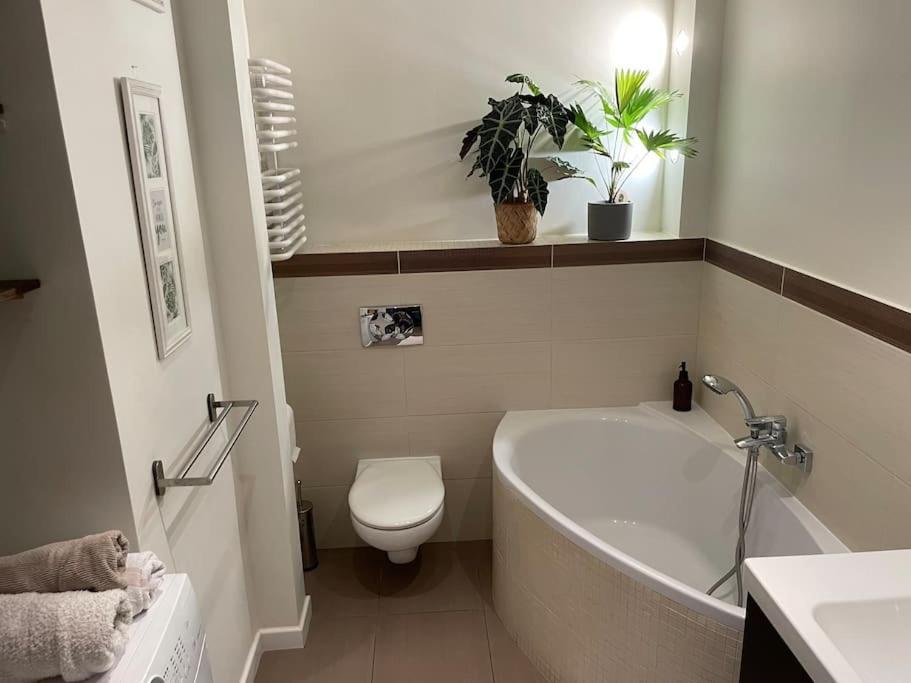 Comfortable Apartment In Warsaw Bielany Екстер'єр фото